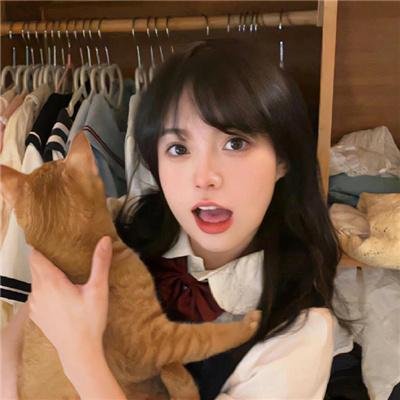 风月俏佳人